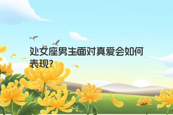 处女座男生面对真爱会如何表现？