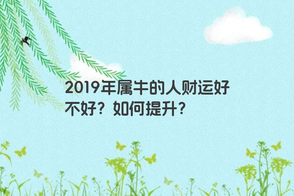 2019年属牛的人财运好不好？如何提升？