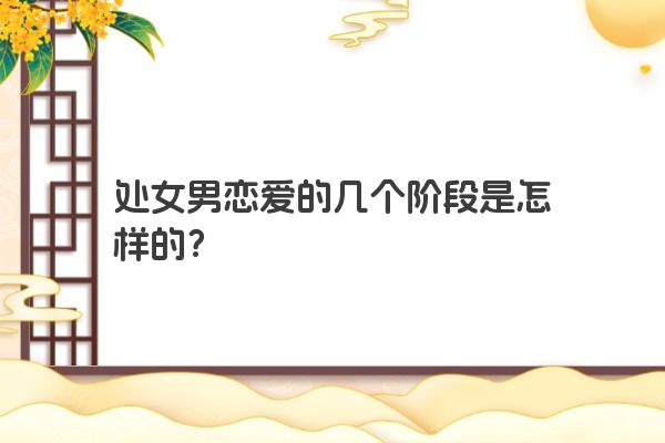 处女男恋爱的几个阶段是怎样的？