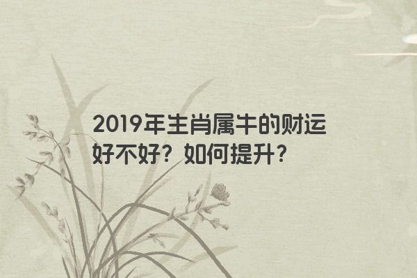 2019年生肖属牛的财运好不好？如何提升？