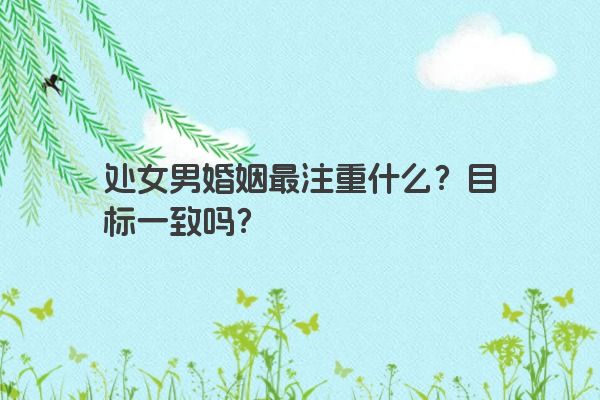 处女男婚姻最注重什么？目标一致吗？