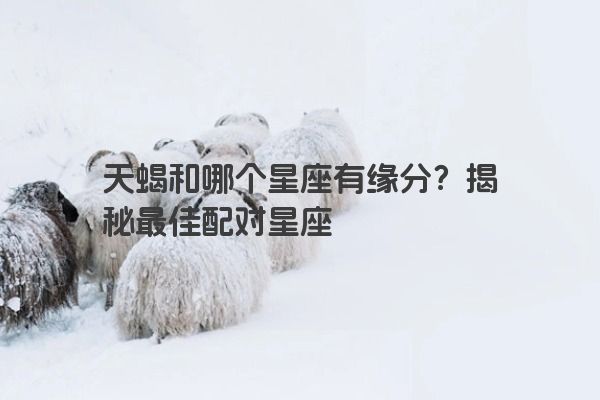 天蝎和哪个星座有缘分？揭秘最佳配对星座