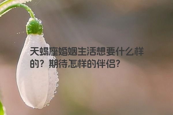 天蝎座婚姻生活想要什么样的？期待怎样的伴侣？
