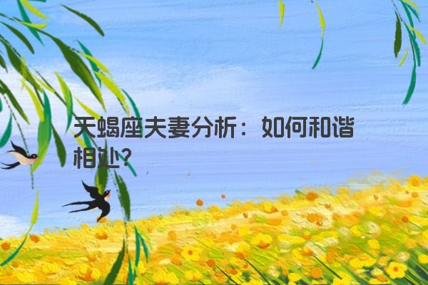 天蝎座夫妻分析：如何和谐相处？