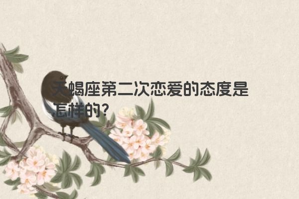 天蝎座第二次恋爱的态度是怎样的？