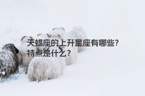天蝎座的上升星座有哪些？特点是什么？