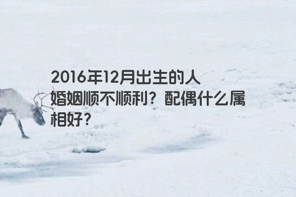 2016年12月出生的人婚姻顺不顺利？配偶什么属相好？