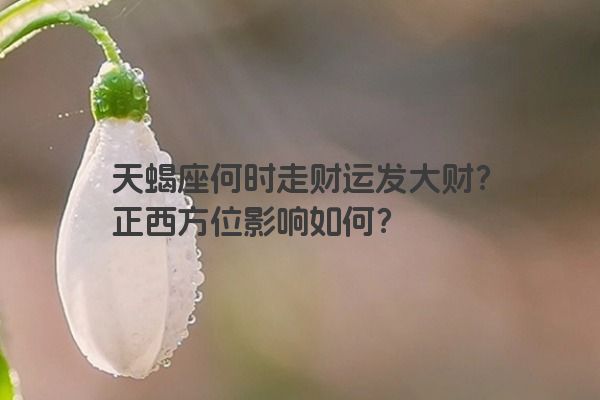 天蝎座何时走财运发大财？正西方位影响如何？