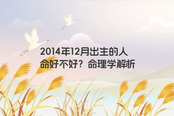 2014年12月出生的人命好不好？命理学解析