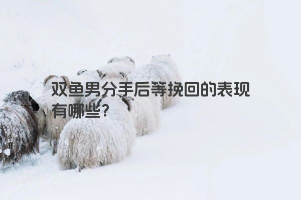 双鱼男分手后等挽回的表现有哪些？