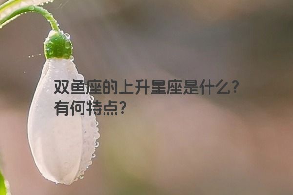 双鱼座的上升星座是什么？有何特点？