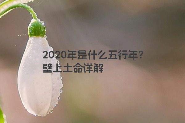 2020年是什么五行年？壁上土命详解