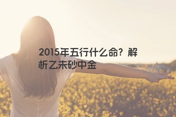 2015年五行什么命？解析乙未砂中金