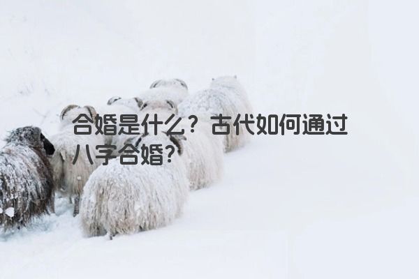 合婚是什么？古代如何通过八字合婚？