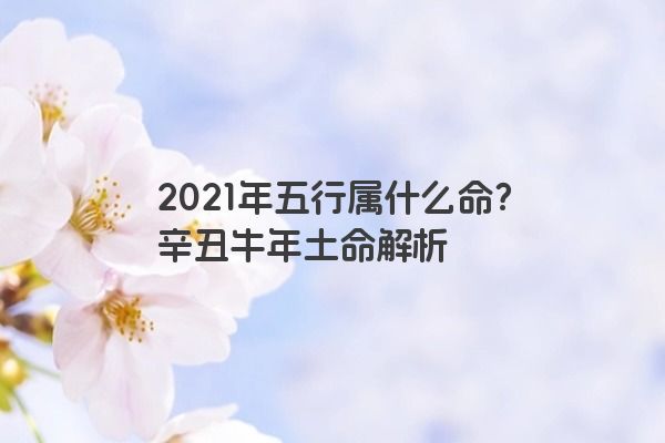 2021年五行属什么命？辛丑牛年土命解析