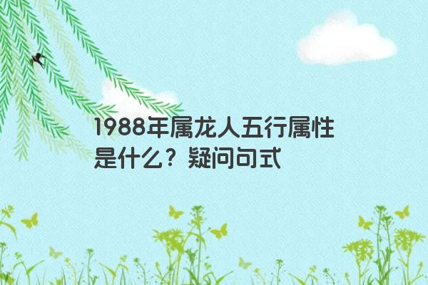 1988年属龙人五行属性是什么？疑问句式