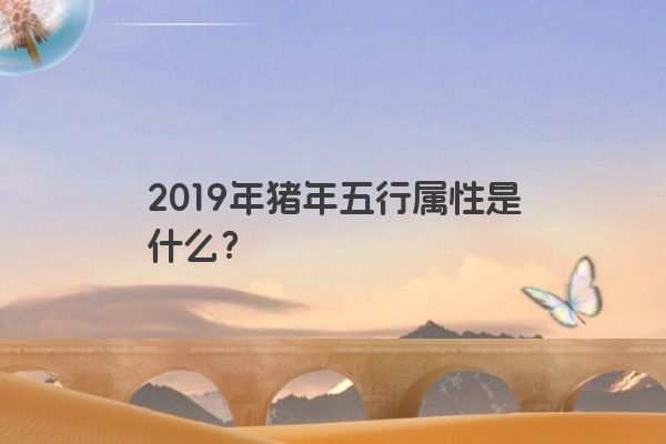 2019年猪年五行属性是什么？