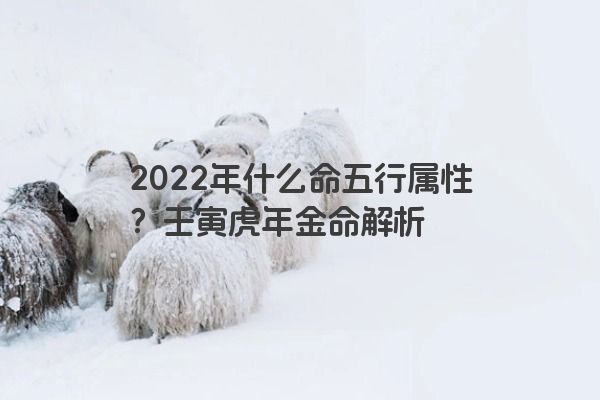 2022年什么命五行属性？壬寅虎年金命解析