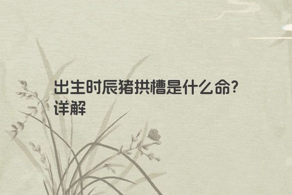 出生时辰猪拱槽是什么命？详解