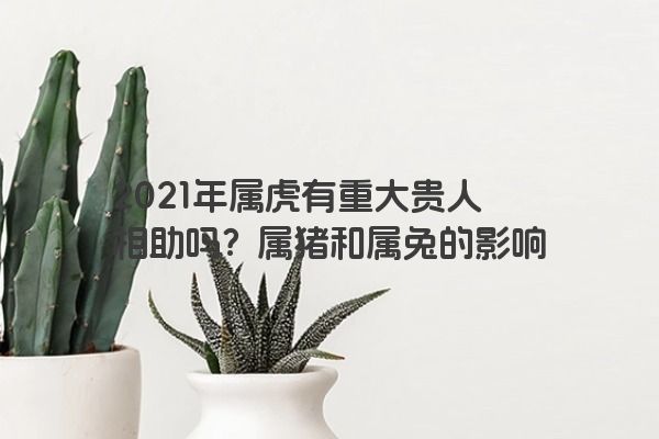 2021年属虎有重大贵人相助吗？属猪和属兔的影响