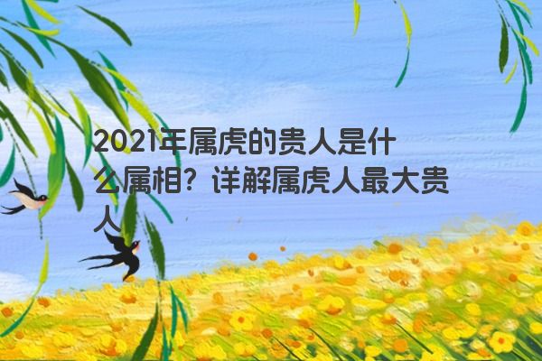 2021年属虎的贵人是什么属相？详解属虎人最大贵人