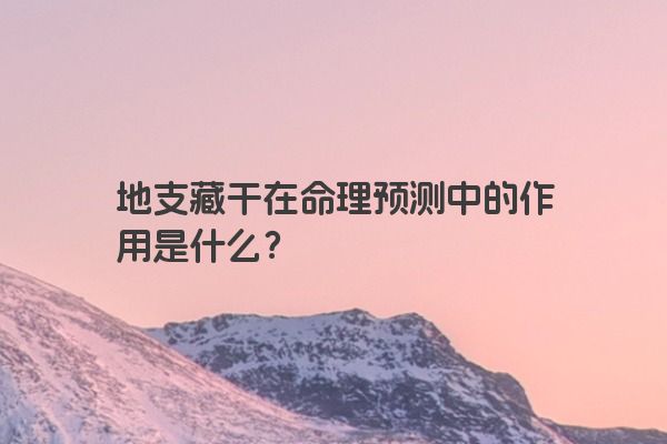 地支藏干在命理预测中的作用是什么？