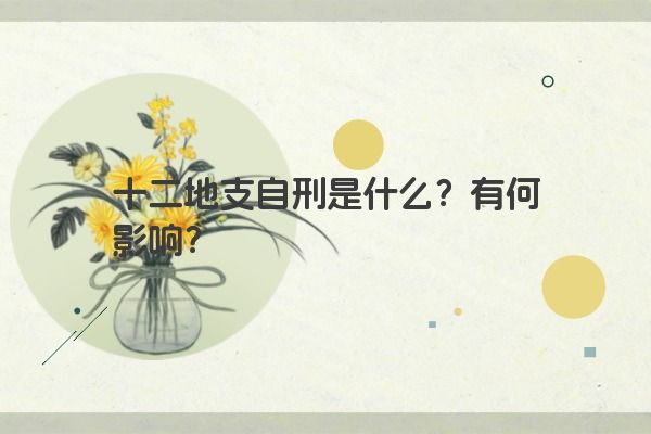 十二地支自刑是什么？有何影响？