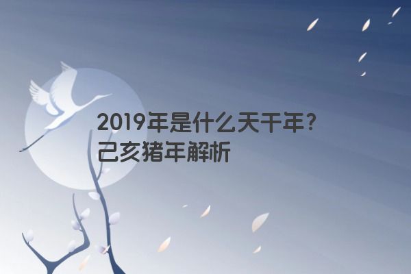 2019年是什么天干年？己亥猪年解析