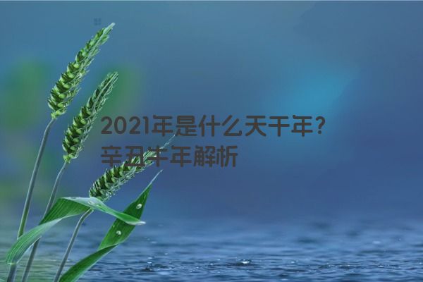 2021年是什么天干年？辛丑牛年解析