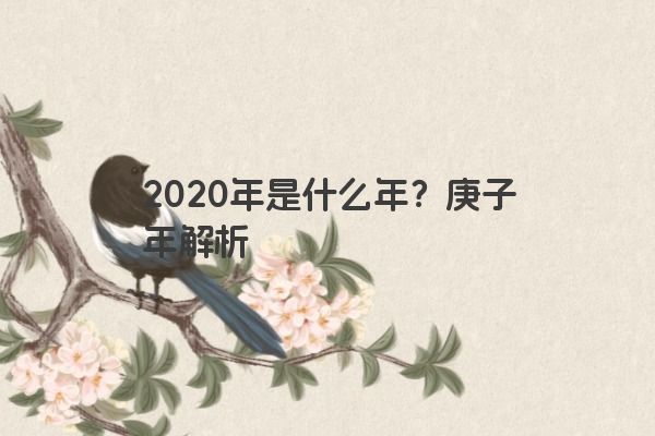 2020年是什么年？庚子年解析