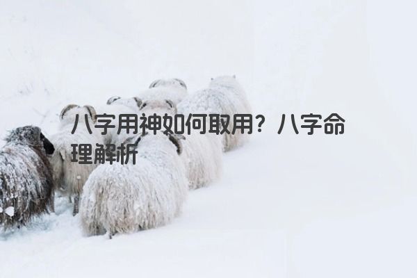 八字用神如何取用？八字命理解析
