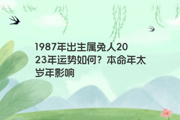 1987年出生属兔人2023年运势如何？本命年太岁年影响