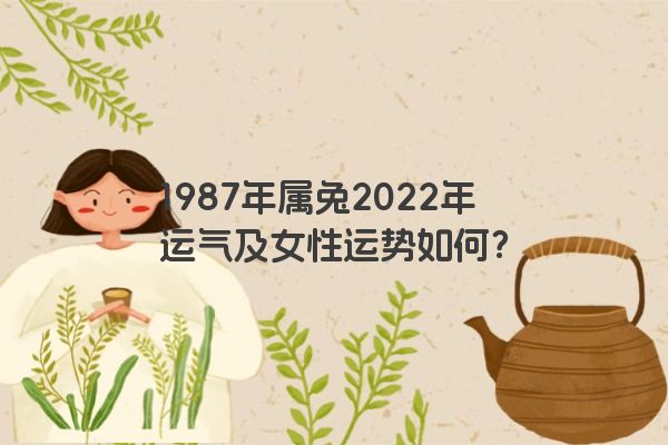 1987年属兔2022年运气及女性运势如何？