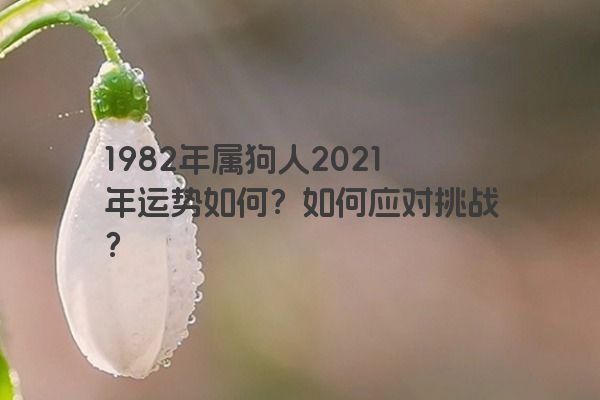 1982年属狗人2021年运势如何？如何应对挑战？