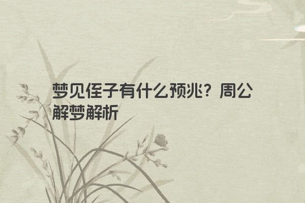 梦见侄子有什么预兆？周公解梦解析