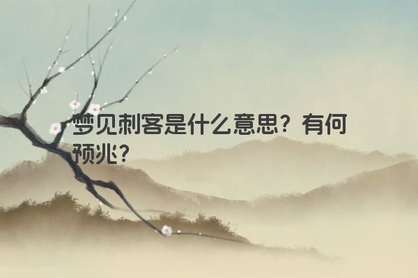 梦见刺客是什么意思？有何预兆？