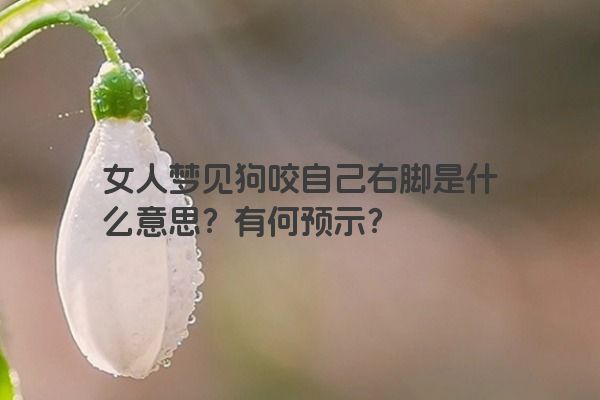 女人梦见狗咬自己右脚是什么意思？有何预示？