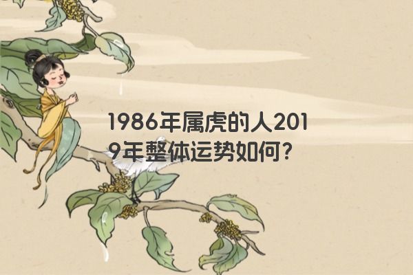 1986年属虎的人2019年整体运势如何？