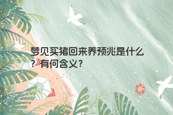 梦见买猪回来养预兆是什么？有何含义？
