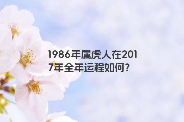 1986年属虎人在2017年全年运程如何？