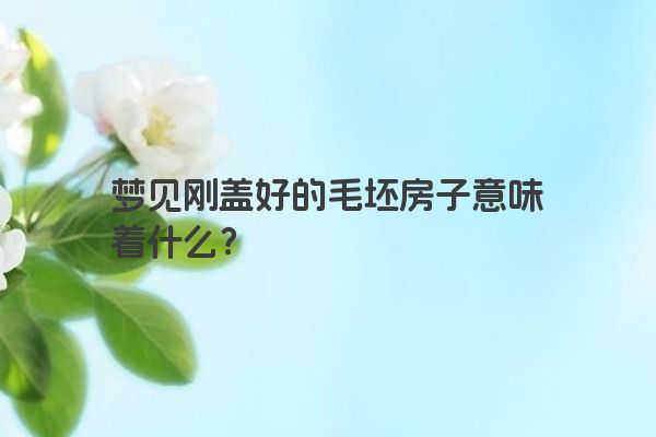 梦见刚盖好的毛坯房子意味着什么？