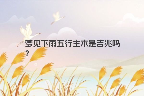 梦见下雨五行主木是吉兆吗？