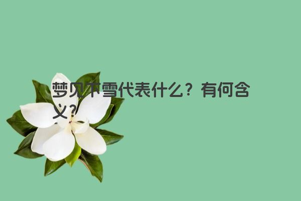 梦见下雪代表什么？有何含义？