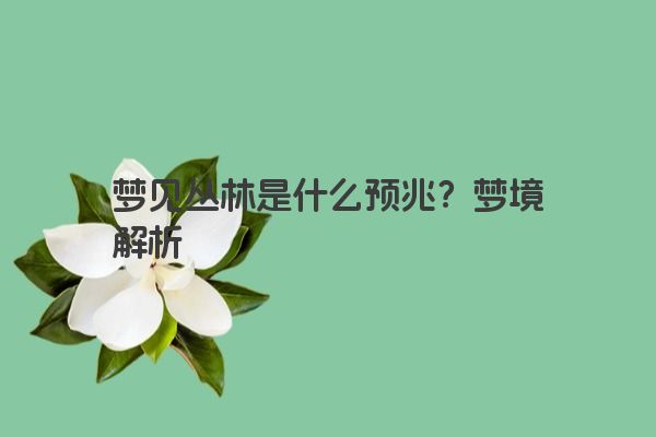 梦见丛林是什么预兆？梦境解析