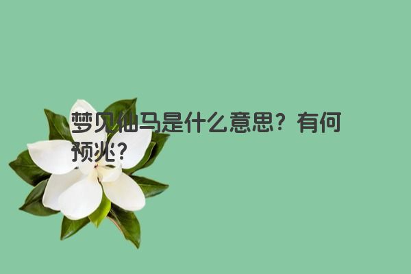 梦见仙马是什么意思？有何预兆？