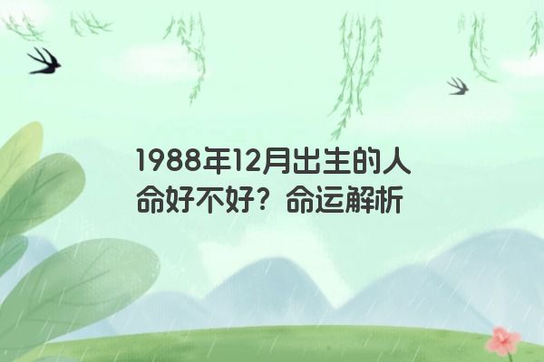 1988年12月出生的人命好不好？命运解析