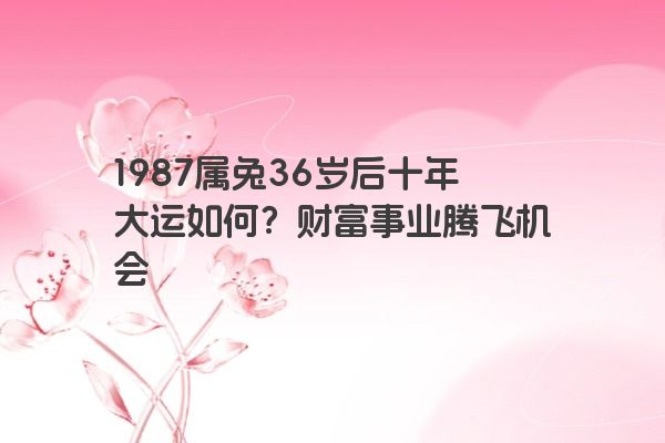 1987属兔36岁后十年大运如何？财富事业腾飞机会