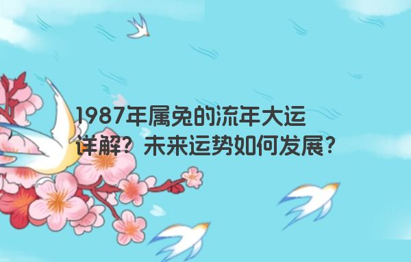 1987年属兔的流年大运详解？未来运势如何发展？