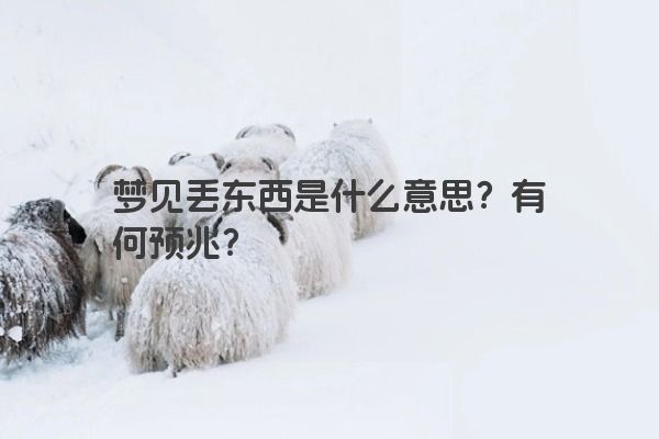 梦见丢东西是什么意思？有何预兆？