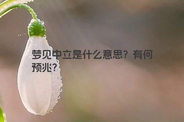 梦见中立是什么意思？有何预兆？